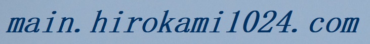 main.hirokami1024.com